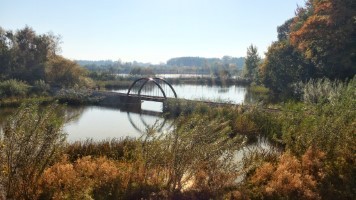 A small bridge in Ree Park